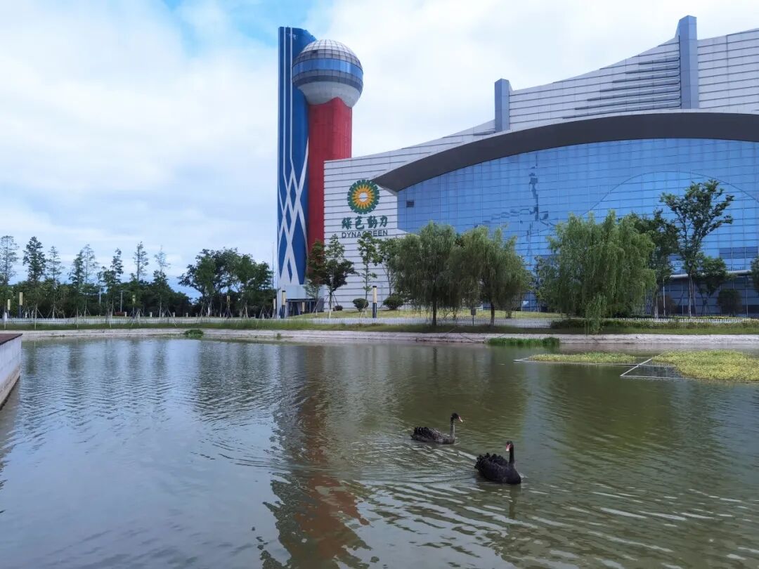 熊猫体育集团获批发行10亿元中期票据 融资渠道再拓宽