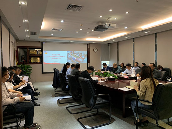 落实全面从严治党  高质量发展迎百年华诞――熊猫体育集团党委召开2020年基层党支部书记抓党建工作述职评议会议